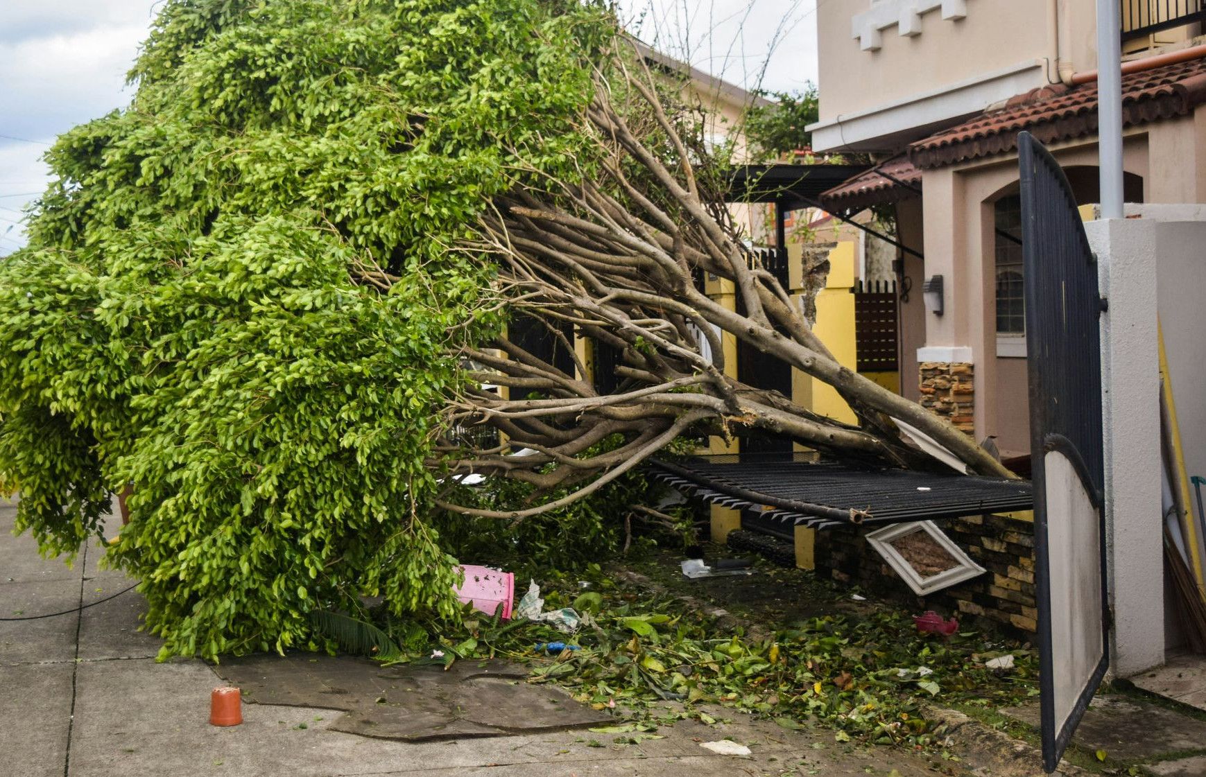 a tree that has fallen on a house